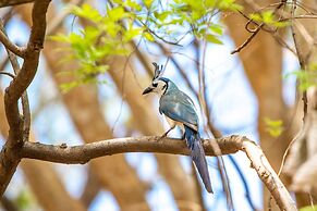 Hotel Villas Playa Hermosa