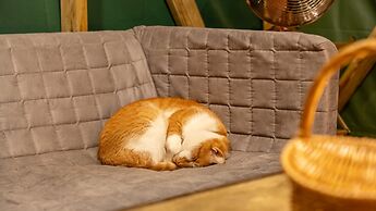 Gapyeong Dongban84 Glamping&pool Villa