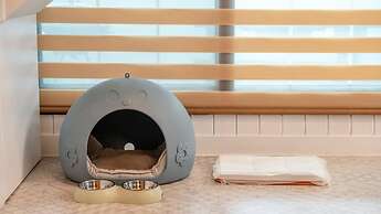 Gapyeong Dongban84 Glamping&pool Villa