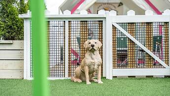 Gapyeong Dongban84 Glamping&pool Villa