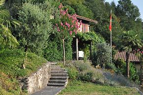 Romantic Rustico With Dependence