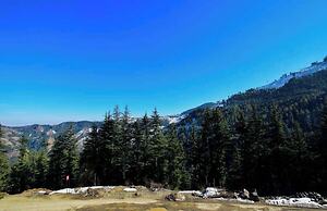 Gulmarg Height Homestay Kufri Shimla