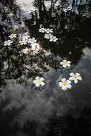 Langkawi Rouhi Retreats at Langkawi