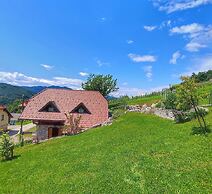 Vineyard cottage Kralj