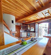 Vineyard cottage Kralj