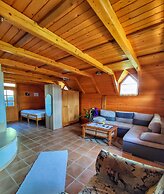 Vineyard cottage Kralj