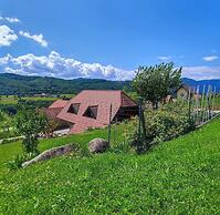 Vineyard cottage Kralj