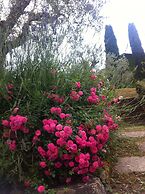 Villa Ceppeto for Your Family