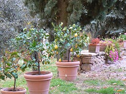 Villa Ceppeto for Your Family