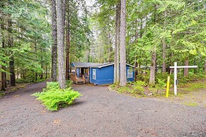 Access to Lake Cushman: Forested Hoodsport Home!