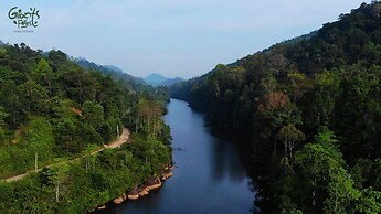 Giant's Forest