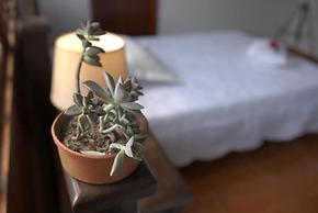 Hotel Chalet El Castillo by Majuva