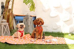 Casa De Fisi Alaçatı