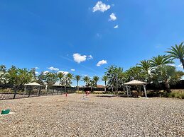 King Palm At Reunion Resort