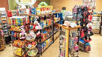 Sunset Chic at Paradise Palms