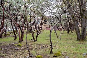 Sonora Splendor Stately 3 BDR on Secluded Lot!