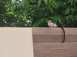 Pousada Nosso Canto Alter