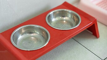 Gapyeong Beilli pet Pool Villa Pension