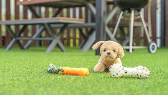 Gapyeong Beilli pet Pool Villa Pension