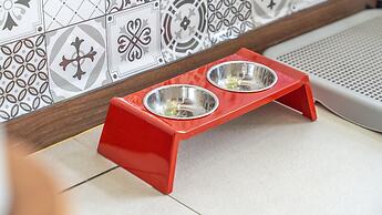 Gapyeong Beilli pet Pool Villa Pension