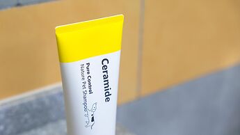 Gapyeong Beilli pet Pool Villa Pension