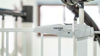 Gapyeong Beilli pet Pool Villa Pension