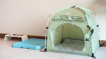 Gapyeong Beilli pet Pool Villa Pension