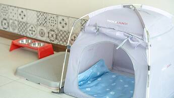 Gapyeong Beilli pet Pool Villa Pension