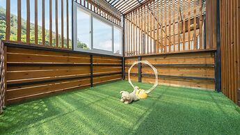 Gapyeong Beilli pet Pool Villa Pension