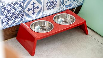 Gapyeong Beilli pet Pool Villa Pension