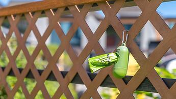 Gapyeong Beilli pet Pool Villa Pension