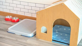 Gapyeong Beilli pet Pool Villa Pension