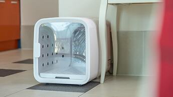 Gapyeong Beilli pet Pool Villa Pension