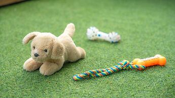 Gapyeong Beilli pet Pool Villa Pension