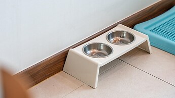 Gapyeong Beilli pet Pool Villa Pension