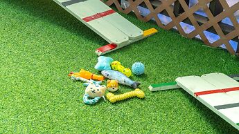 Gapyeong Beilli pet Pool Villa Pension