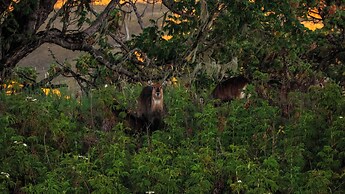 Anabas Mount Kenya Lodge