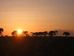 Domaine La Yole Wine Resort