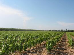 Domaine La Yole Wine Resort
