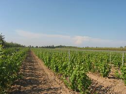 Domaine La Yole Wine Resort