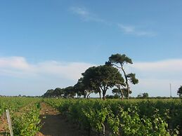 Domaine La Yole Wine Resort