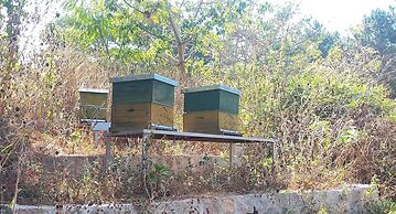 Le Chat'o Park Hôtel