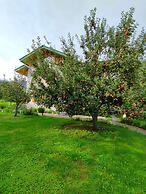 Cascade Mountain Retreat Manali