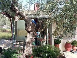 Effie's Maisonette With Detached Studio