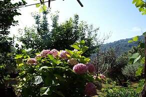 Paradeisos Flatlet With Garden View