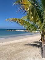 Palm BlossomJA Beach