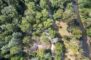 Royal Fern in Pisgah Forest