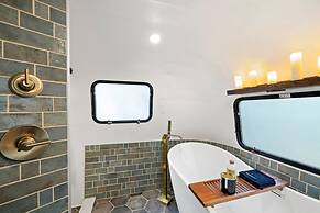 Royal Fern in Pisgah Forest