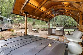 Royal Fern in Pisgah Forest