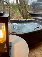 Royal Fern in Pisgah Forest